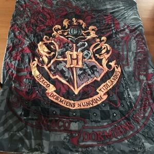 Twin size Harry Potter comforter, slightly used